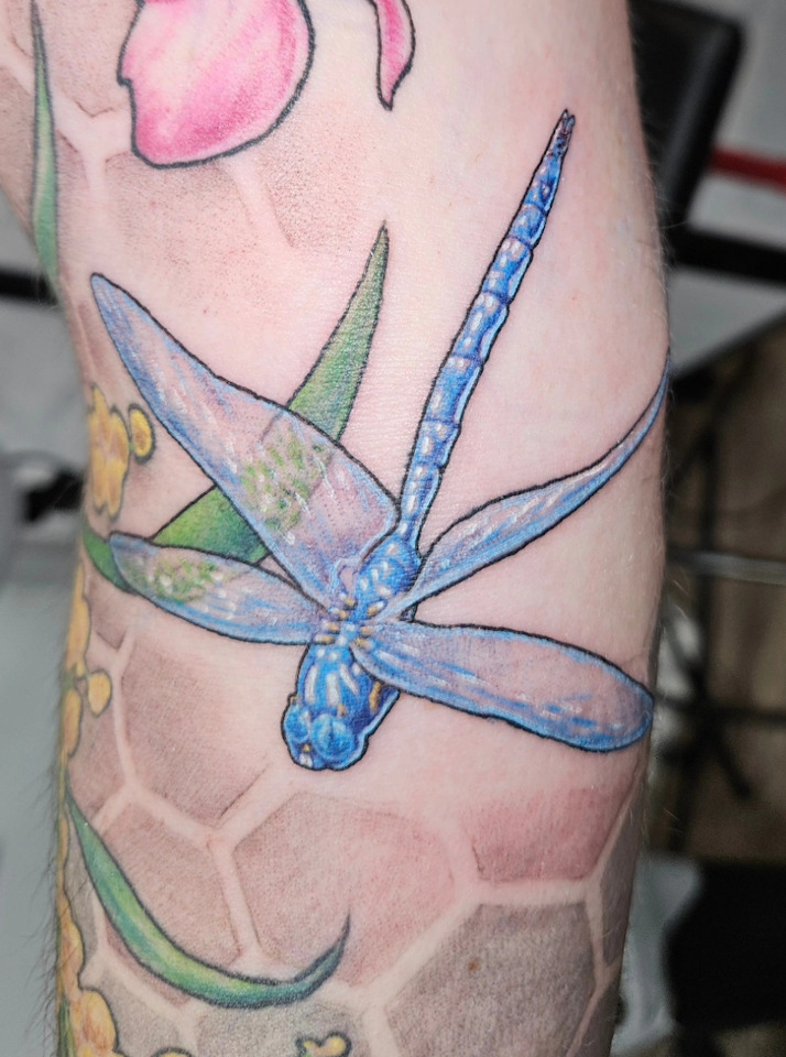 Blue Dragonfly Tattoo — Clay Walker Blue Dragonfly Tattoo