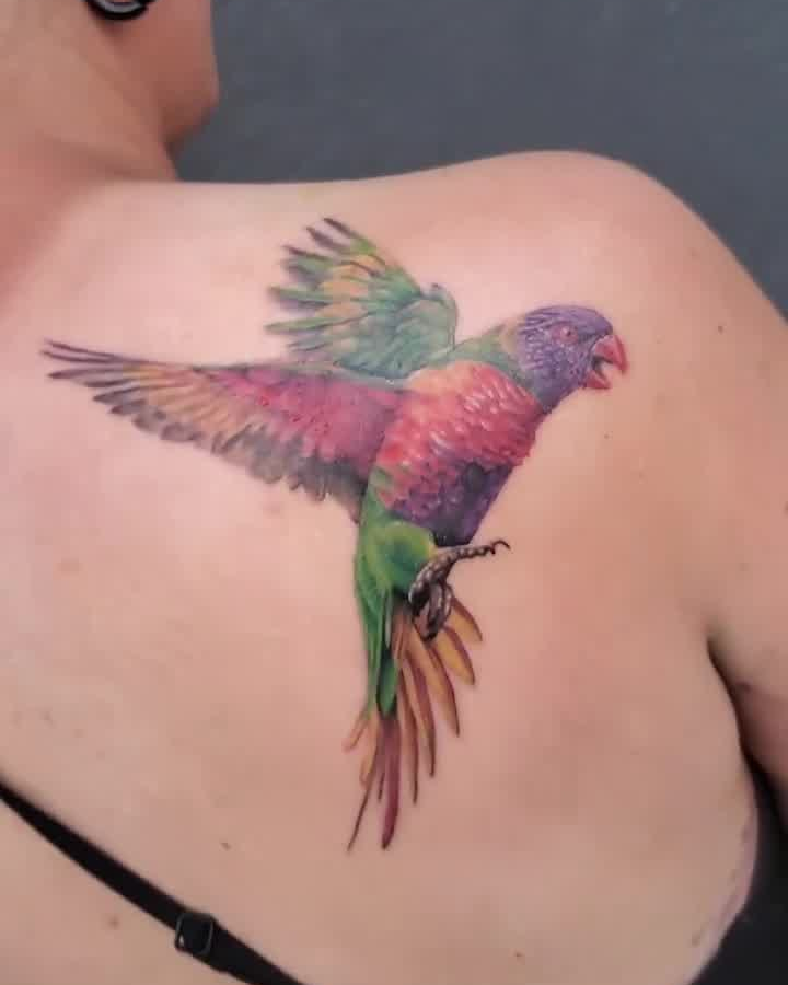 Rainbow Lorikeet — Clay Walker Tattoo